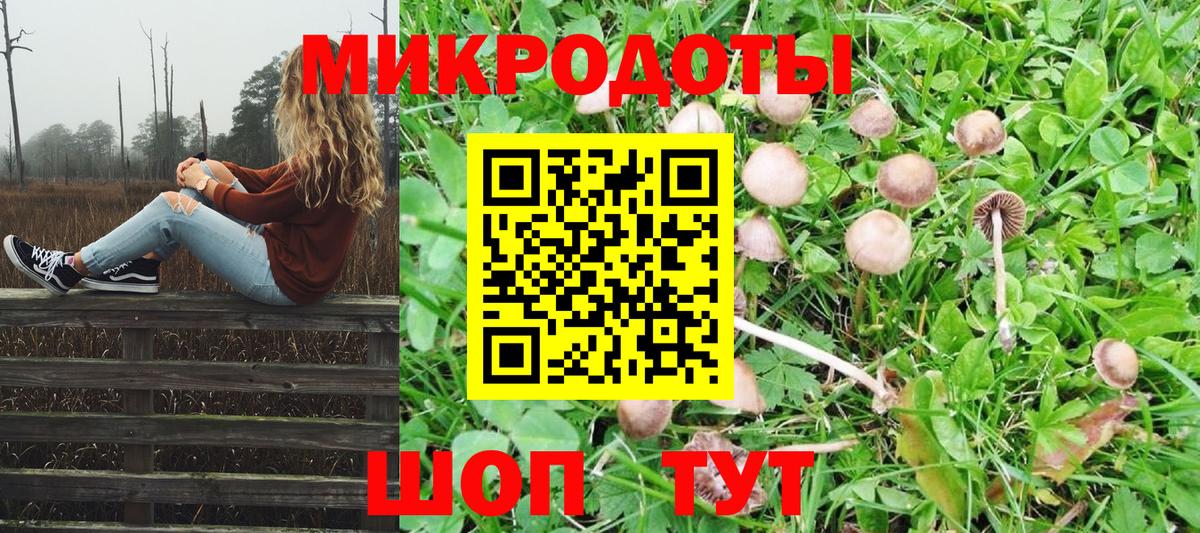 Галлюциногенные грибы прущие грибы  Вход с VPN  Чита 