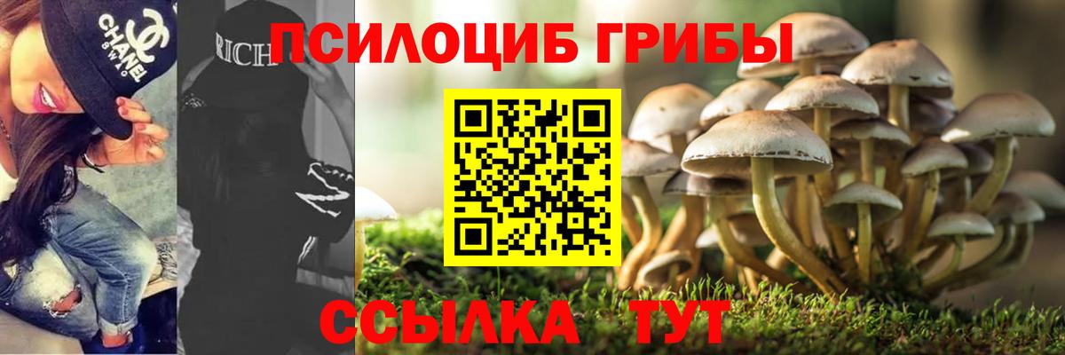 Псилоцибиновые грибы Cubensis  Чита  Галлюциногенные грибы MAGIC MUSHROOMS 